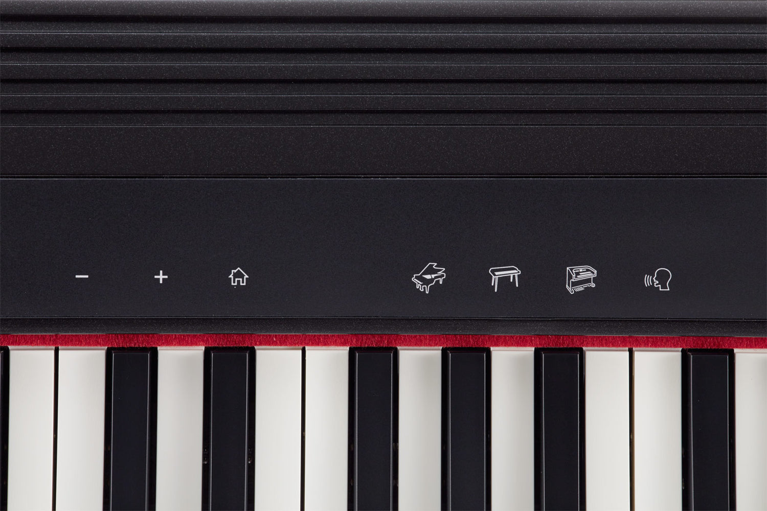 Roland GO:PIANO Keyboard (Black)