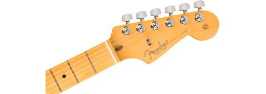 Fender American Professional II Stratocaster (Dark Night)