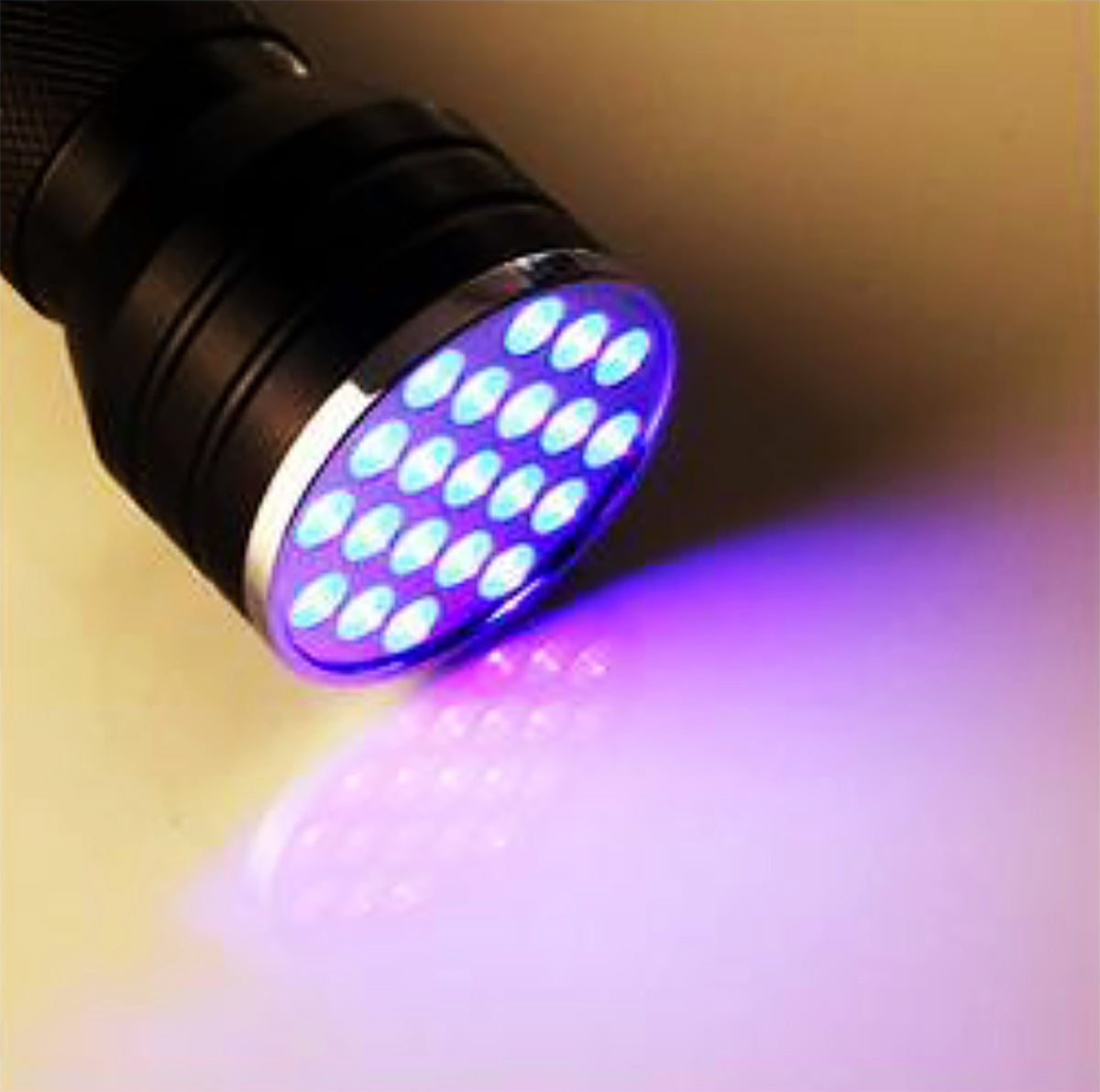 UV Lampe de poche avec 21 LED Diodes
