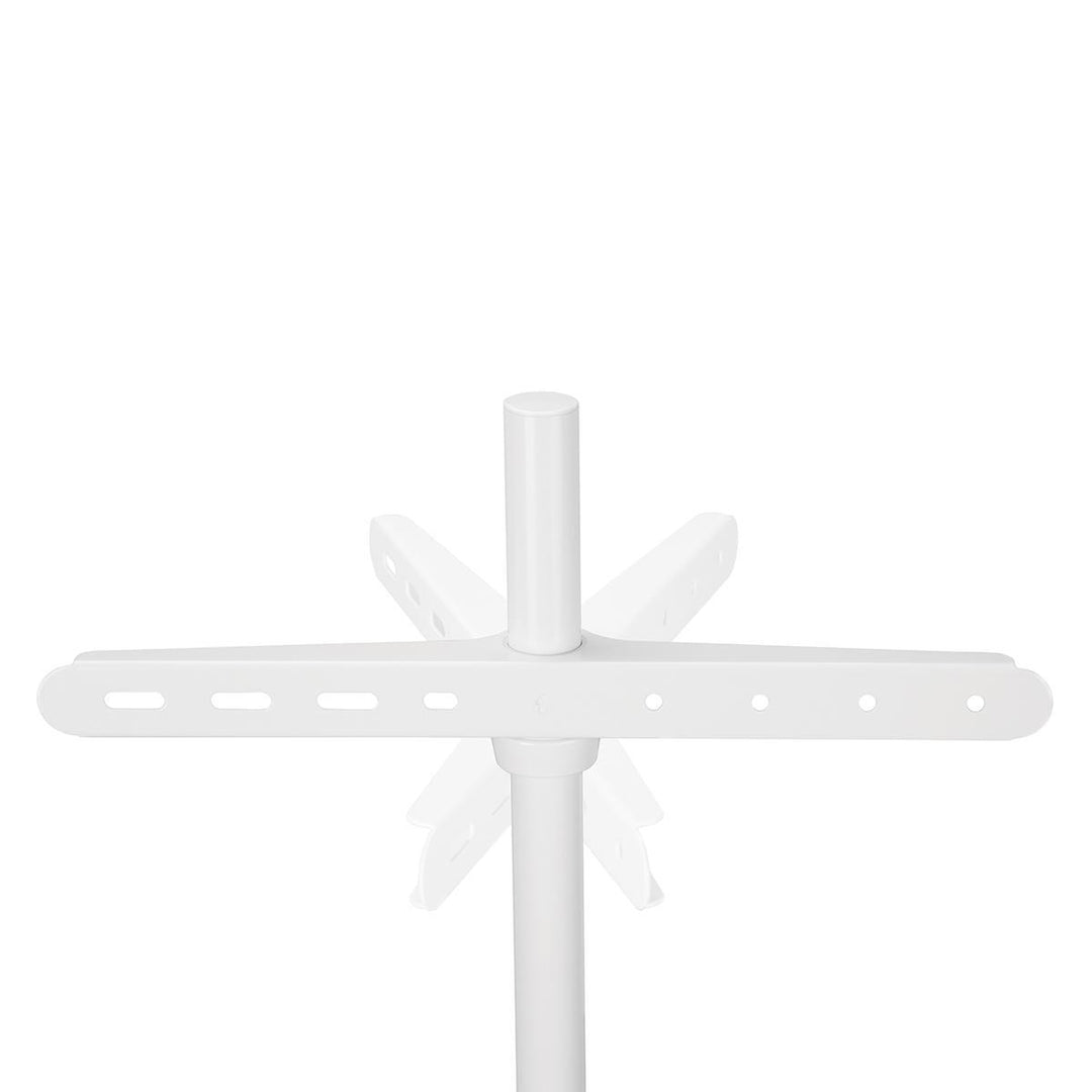 Support TV au Sol (Blanc, Hêtre, 50-65")