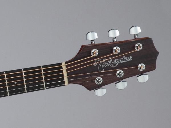 Takamine GD10-NS Western Guitar (Natural)