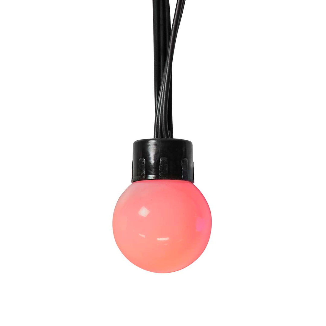 SmartLife Guirlande Décorative avec 48 Ampoules LED