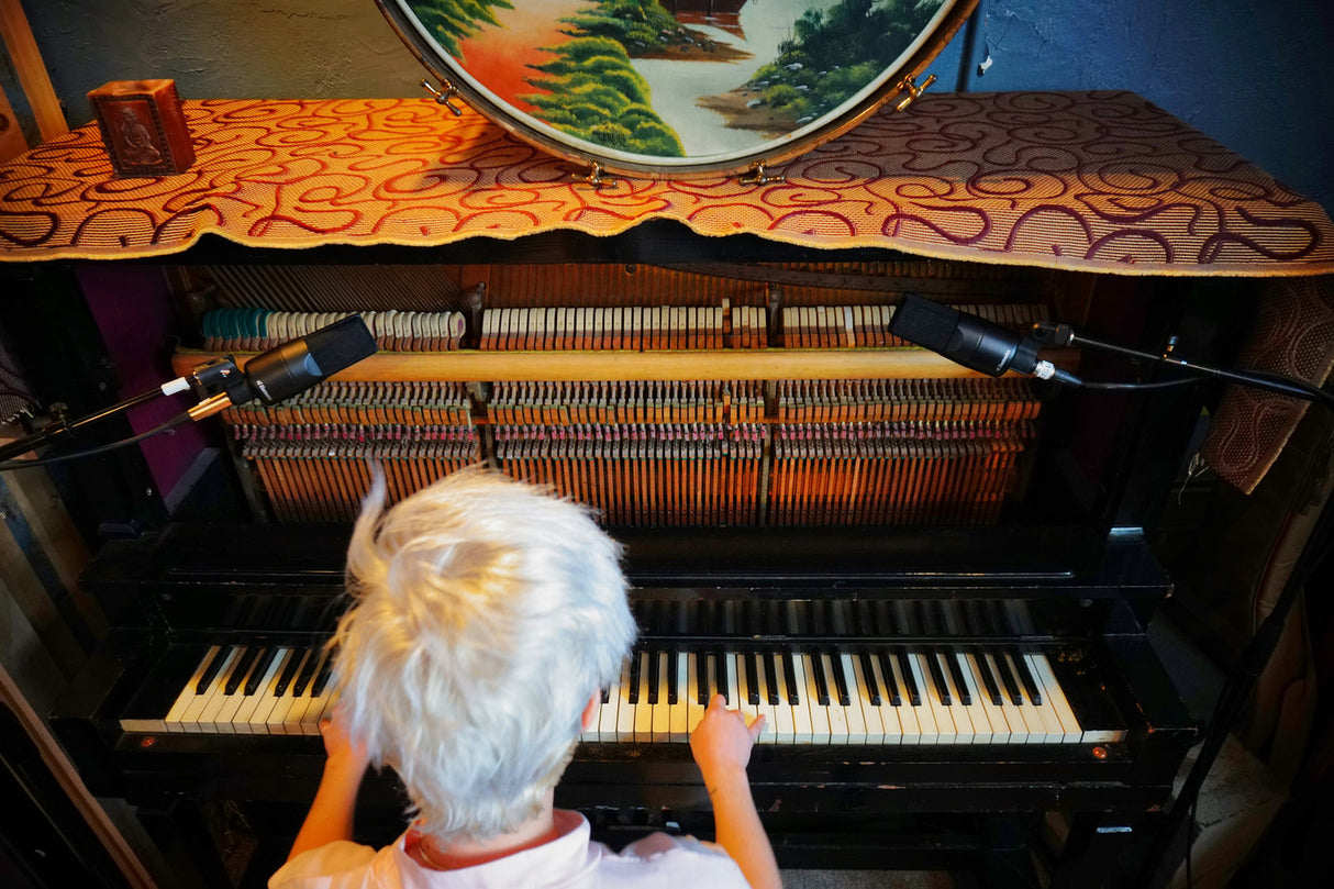 sE Electronics Microphone d'étude à condensateur X1S