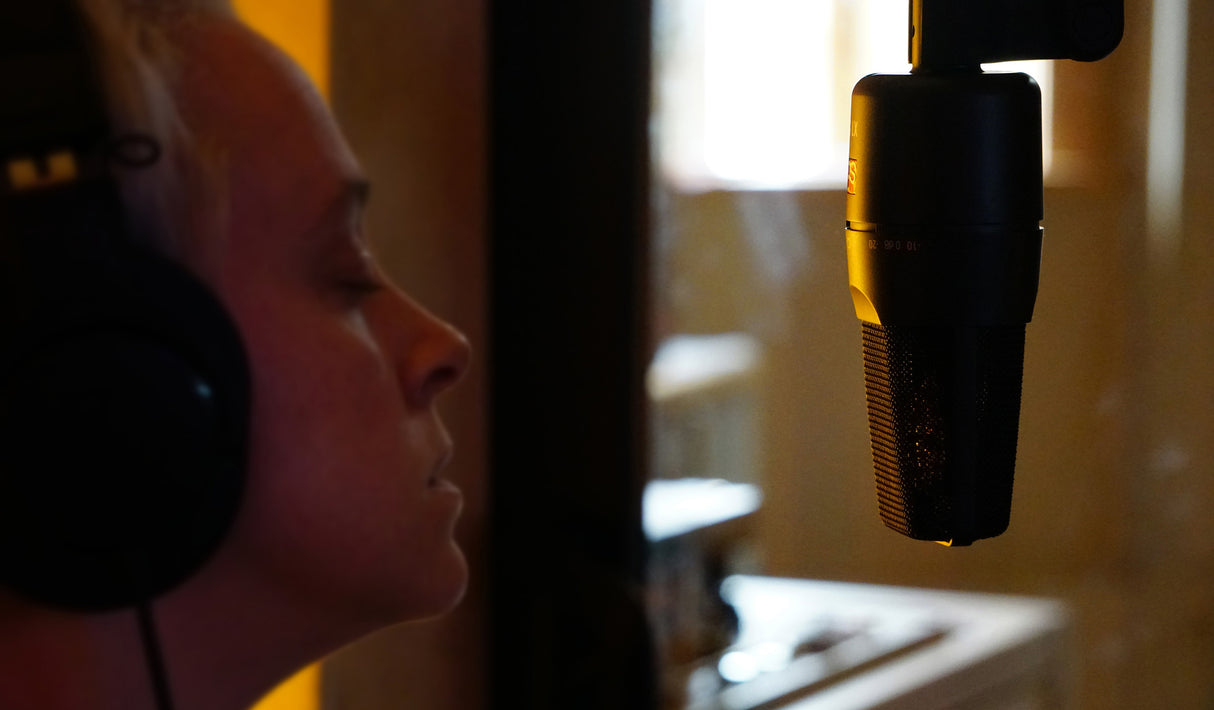 sE Electronics Microphone d'étude à condensateur X1S