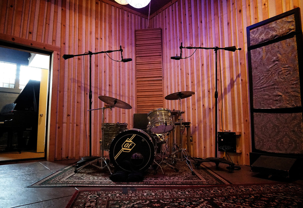 sE Electronics Microphone d'étude à condensateur X1S