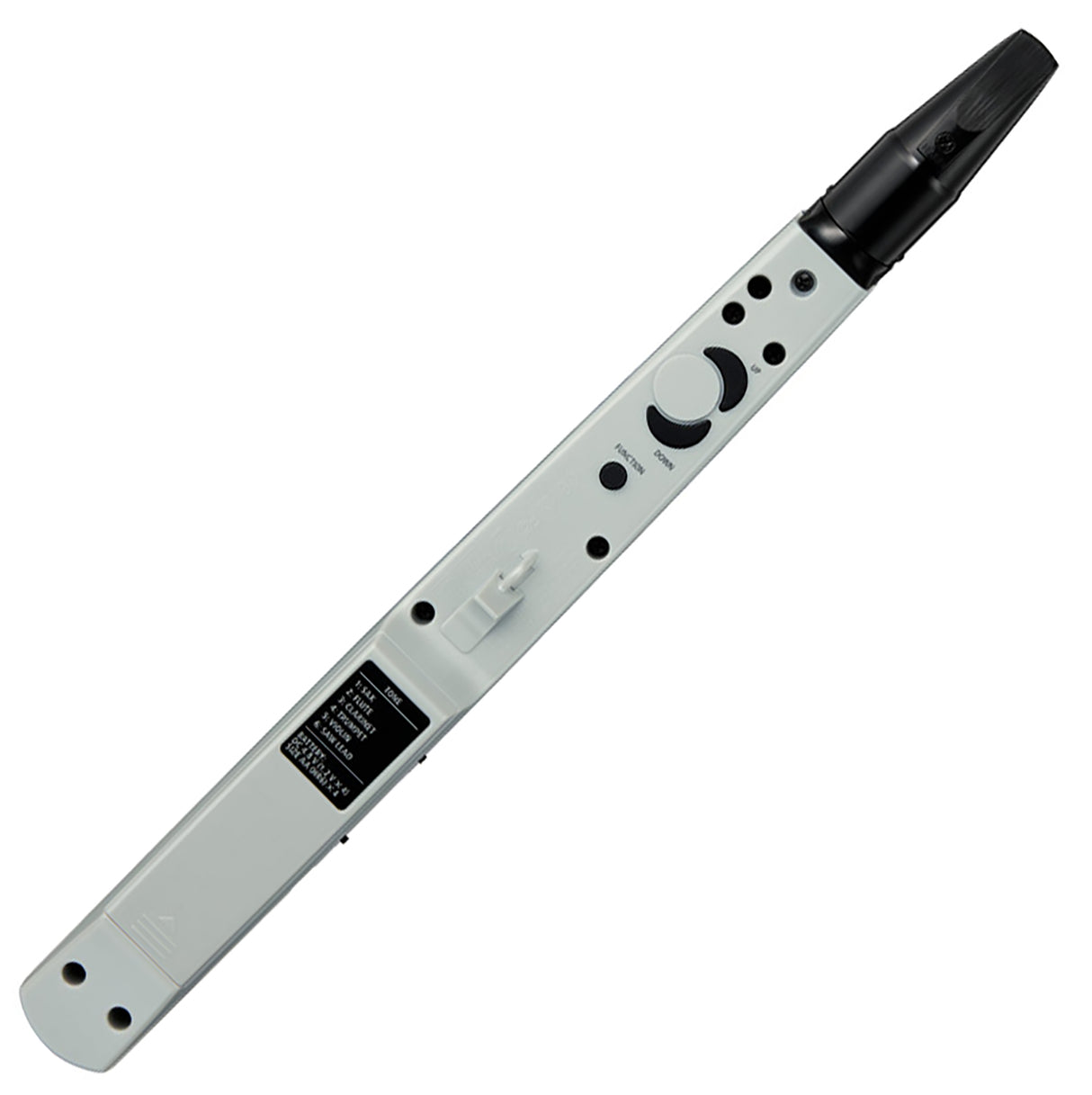 Roland AE-01 electronic recorder