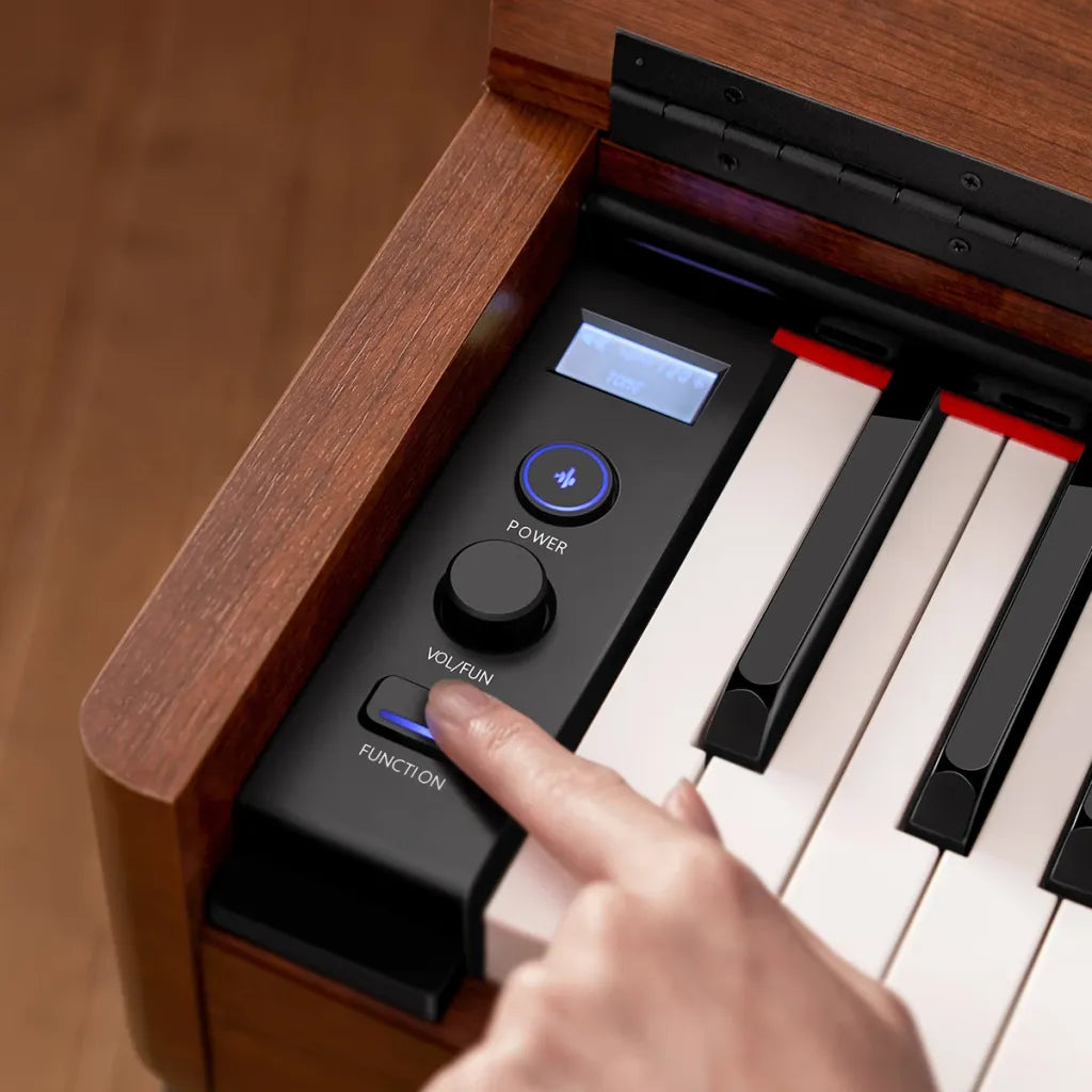 Donner DDP-200 Piano Électrique