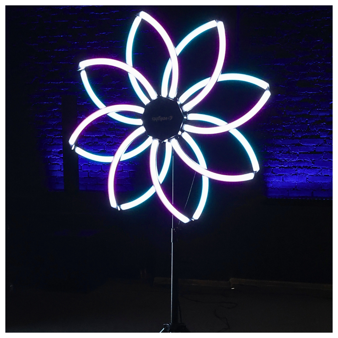 Evolights Vortex