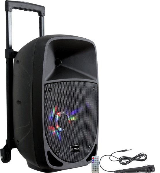 Ibiza Party8LED Festival Speaker (300W)