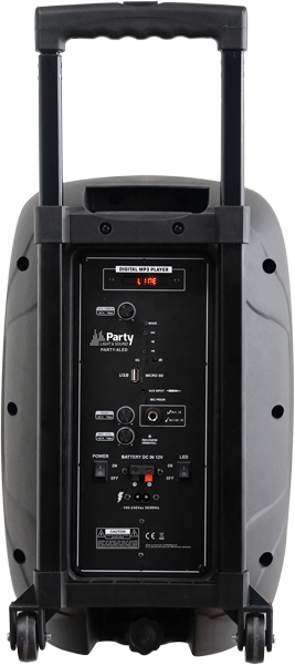 Ibiza Party8LED Festival Speaker (300W)