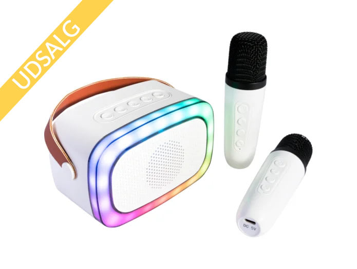 Ibiza Smart Karaoke Bluetooth Speaker with 2 Wireless Microphones