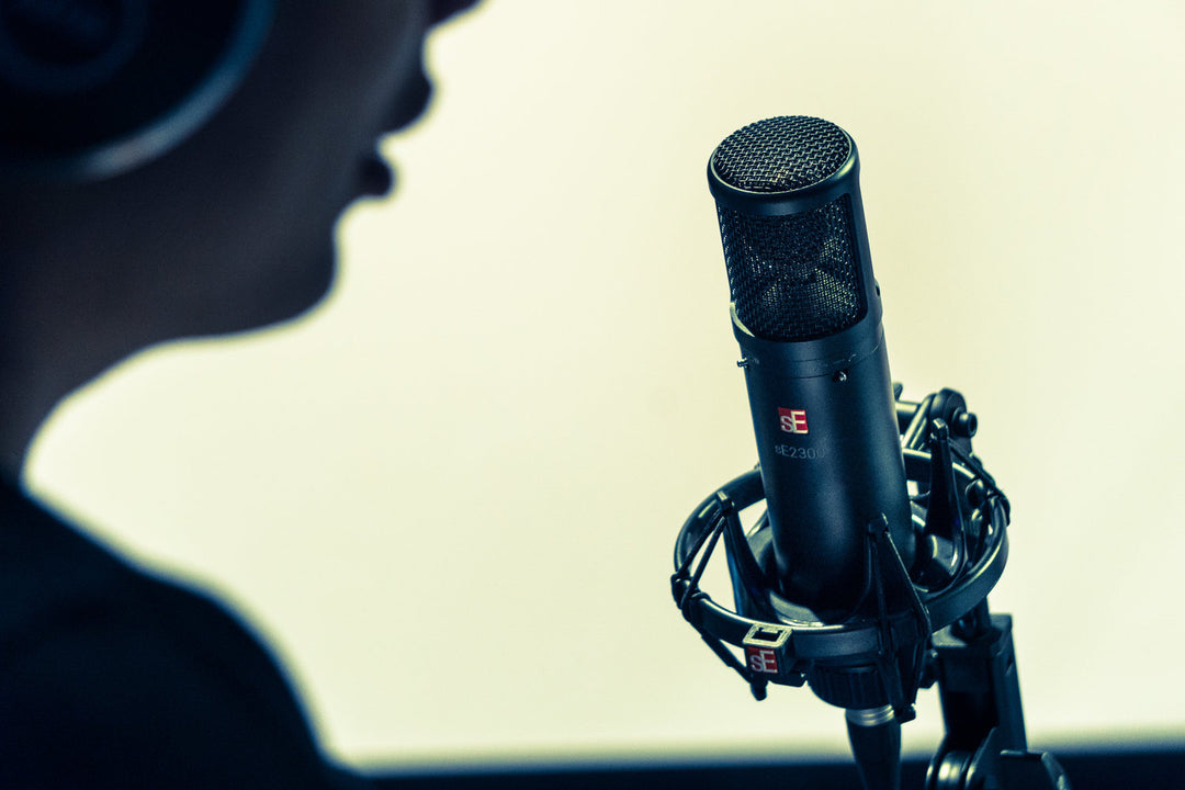 sE Electronics sE2300 Microphone de Studio