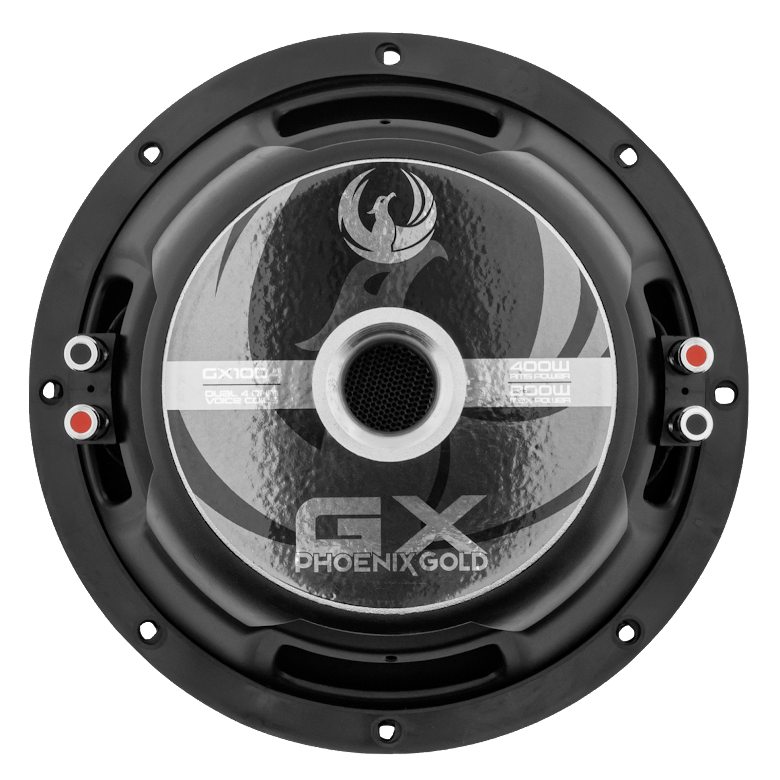 Phoenix Gold GX10D2 10" 2x2 Ohm