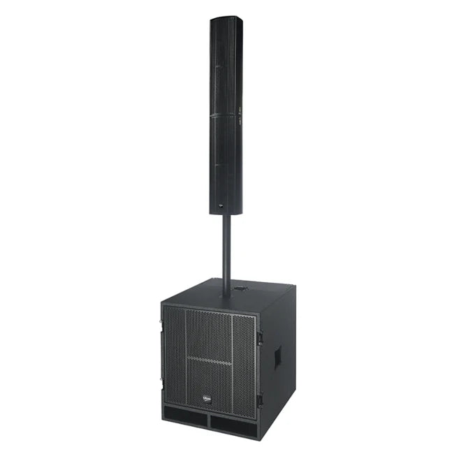 Système Karaoké avec 2 microphones (Noir)