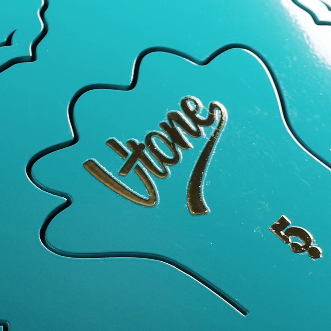 Tongue Drum 12" Cyan avec housse (13 notes gamme de C)