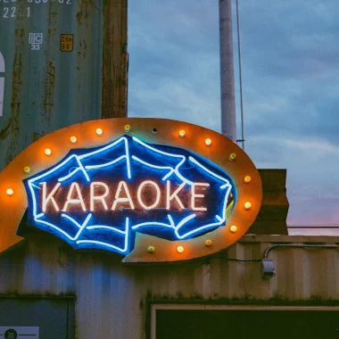 Sådan ville jeg holde en karaoke aften