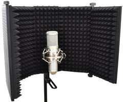 Traitement Acoustique