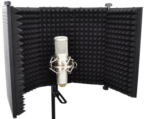 Acoustic Treatment