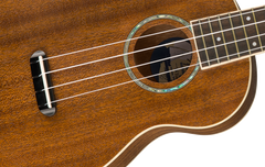 Fender Zuma Concert Ukulélés (Natur)