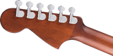 Fender California Deluxe Newporter CE (Naturel)