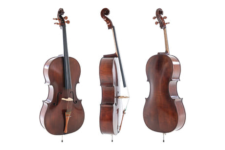 GEWA Meister Rubner violoncelle de concert 4/4, rouge foncé, d’Allemagne
