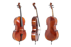 GEWA Ideale violoncelle 4/4, monté, chevilles Wittner, archet en massaranduba, étui