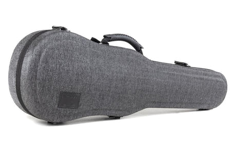GEWA Violons Maestro 2 - 4/4 (Prêt à jouer, étui moulé pour violon GEWA Bio, GEWA Carbon Bow Advanced et cordes Il Cannone inclus)