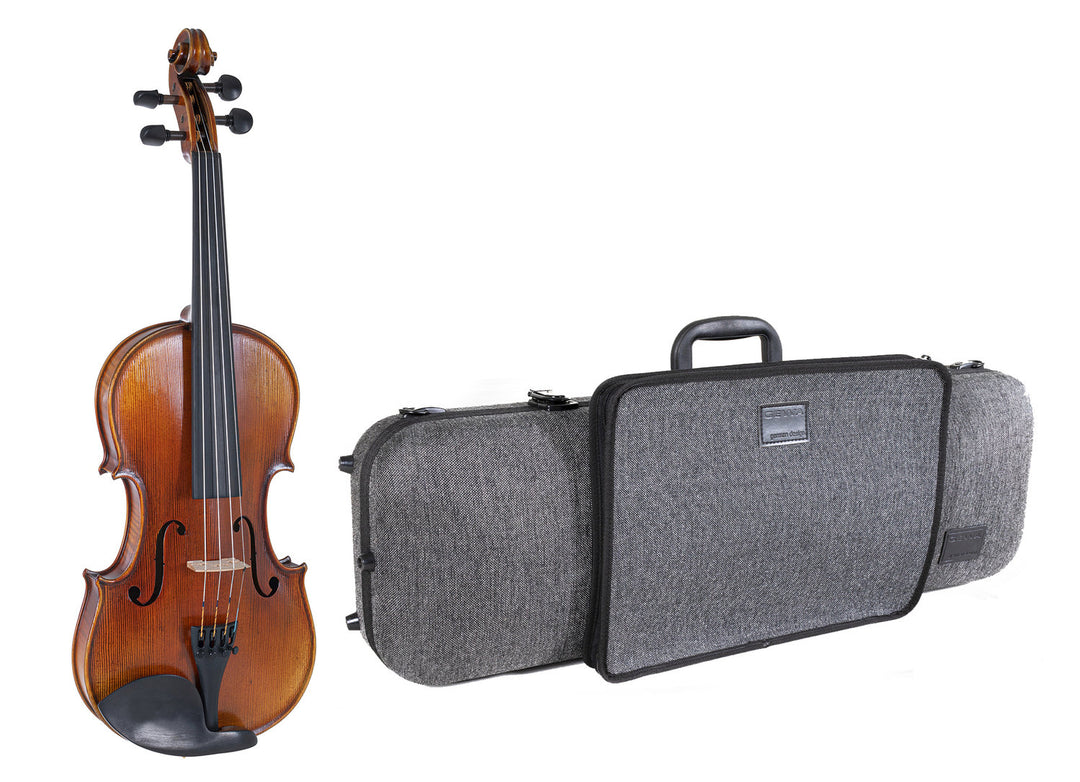 GEWA Violons Maestro 2 - 4/4 (Prêt à jouer incl. étui de violon GEWA Bio, sans archet, avec cordes Il Cannone)