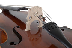GEWA contrebasse Basic Line Solid Version - 4/4 (Montée dans les ateliers principaux GEWA)