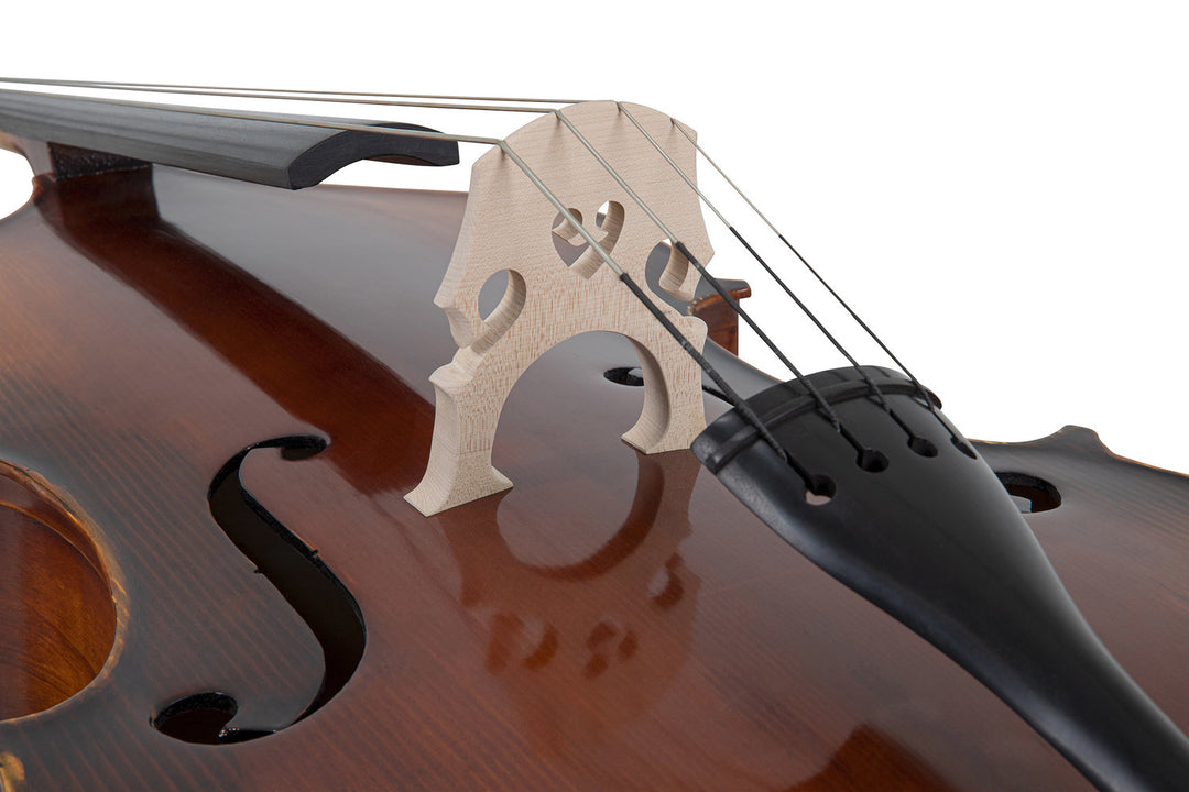 GEWA contrebasse Basic Line Solid Version - 4/4 (Montée dans les ateliers principaux GEWA)