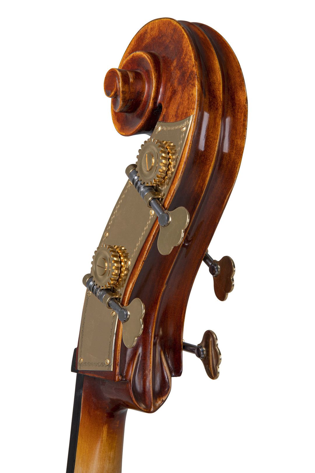 GEWA contrebasse Basic Line Solid Version - 1/2 (Montée dans les ateliers principaux GEWA)