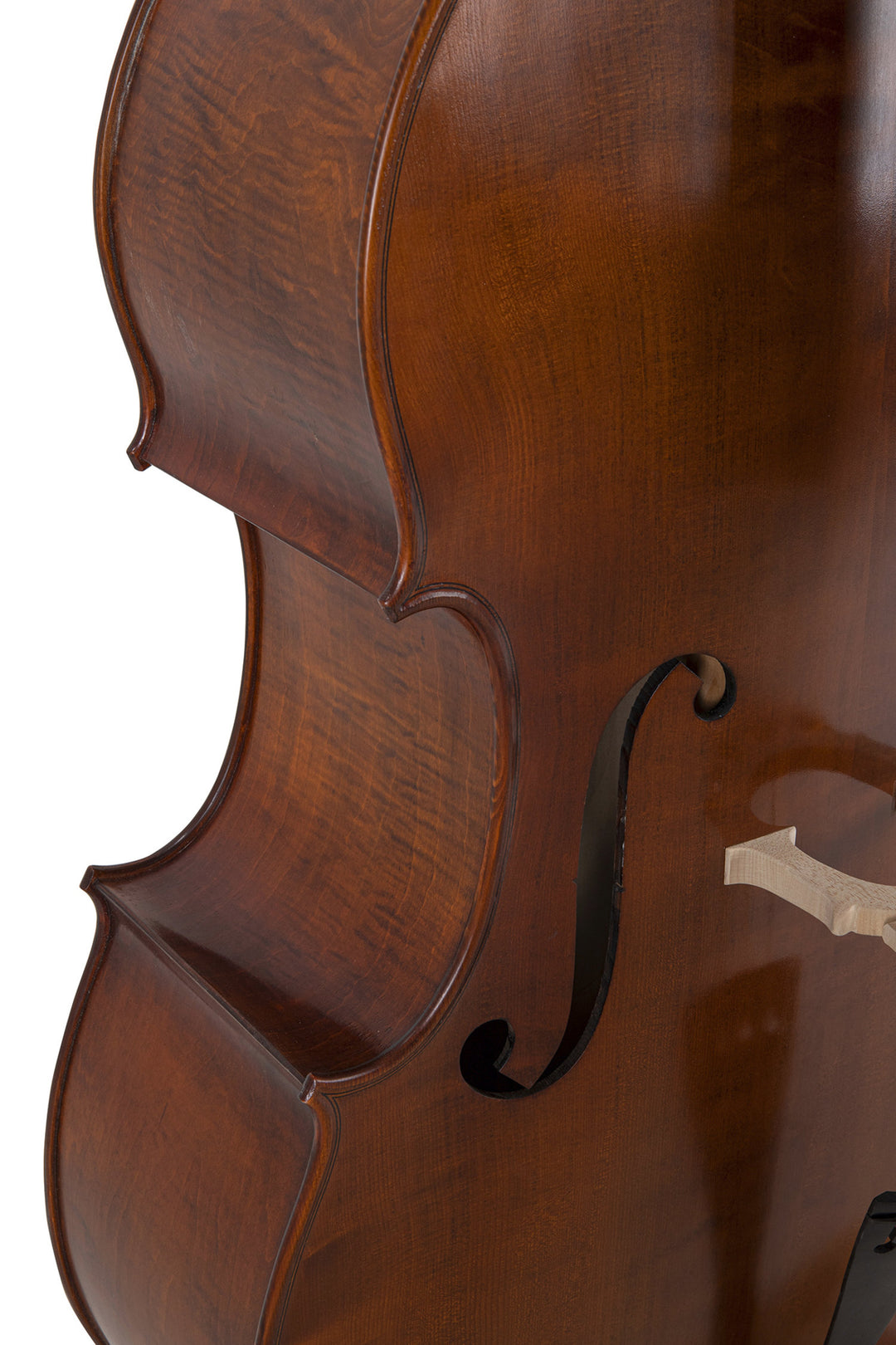 GEWA contrebasse Premium Line modèle semi-solide - 3/4 (Réglée dans les ateliers principaux GEWA)