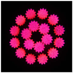 Evolights NEO Faisceau 100W