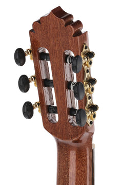 Manuel Rodriguez ACADEMIA Series Santos Pavo Real - Guitares électro-acoustique Épicéa/Santos (EX-SS-EA gloss)