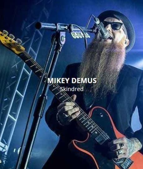 Rotosound MD10 Mikey Demus jeu signature pour guitare électrique 10-54