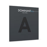Cordes de Violons Thomastik-Infeld Dominant Pro - A2 Nylon/Alu (DP02)