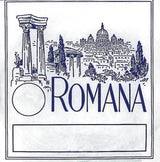 Romana Violin strings - G gut