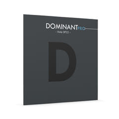 Cordes Thomastik-Infeld pour Violons DOMINANT PRO - âme synthétique D, Chrome (DP22)