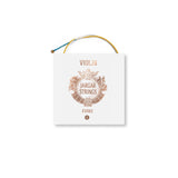 Jargar Violin strings Evoke - G 4/4 medium