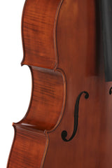GEWA Europa Maestro violoncelle 4/4, vernis maroon