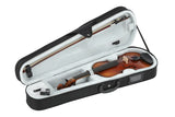 GEWA Violin Anniversary - 4/4 (set up)