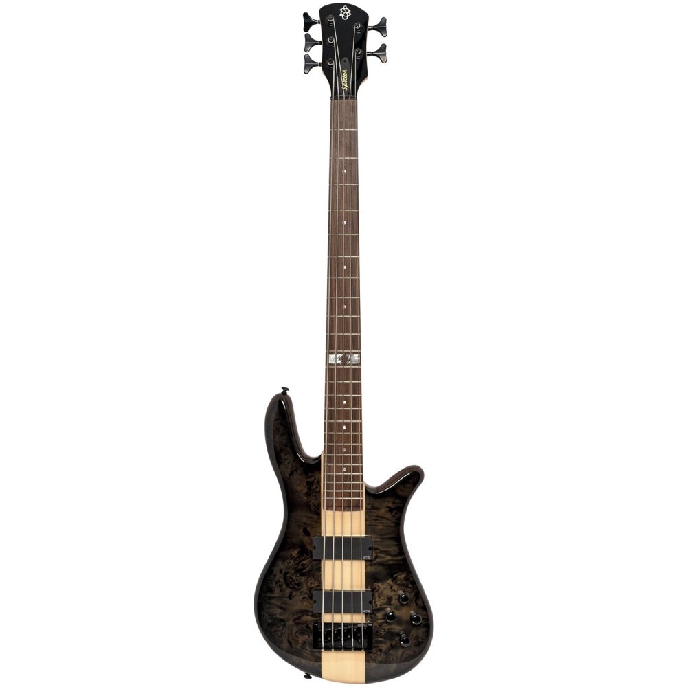 Spector Legend Dan Briggs, naturel brillant