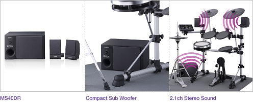 Yamaha MS-40DR, DTX monitor system