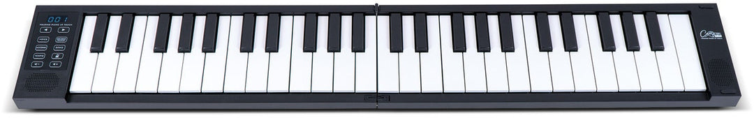 Carry-on par Blackstar Piano pliable FP49T - Black