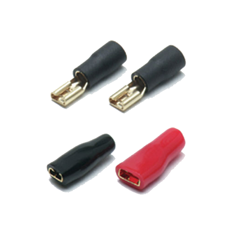 Connecteur de haut-parleur Caliber (ST22848)