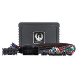 Kit amplificateur DSP Phoenix Gold BMW 2005-2019 avec RAM (ZXMPFCA2)