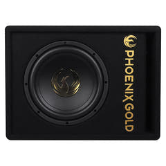 Phoenix Gold caisson de basses actif 10" avec câbles et télécommande