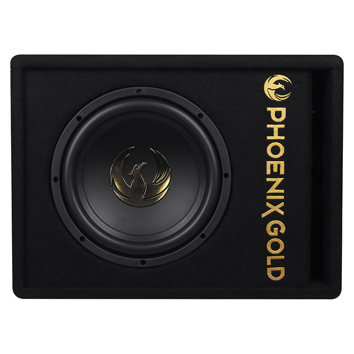 Phoenix Gold caisson de basses actif 10" avec câbles et télécommande