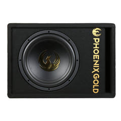 Phoenix Gold caisson de basses actif 12" avec câbles et télécommande