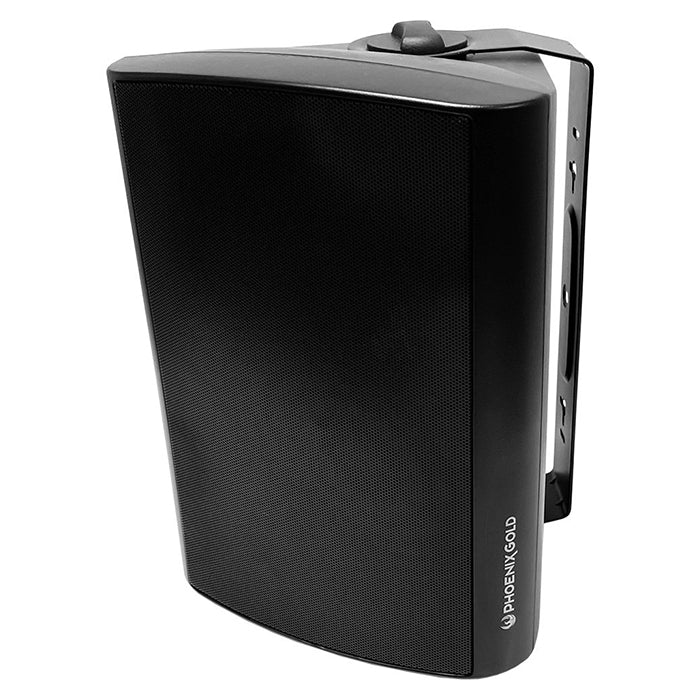 Kit d’enceintes tous temps Phoenix Gold 6,5", noir